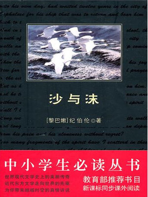 cover image of 沙与沫（中小学生必读丛书）